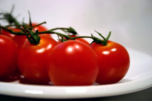 Tomato Plate 2