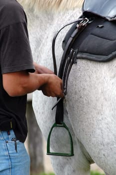 Saddle