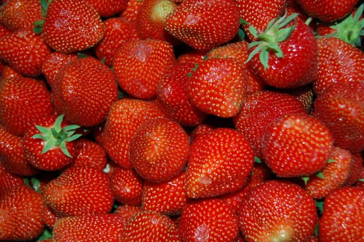 Strawberry season