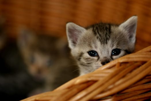 I'm still so shy