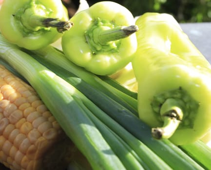 Green bell pepper,spring onions and pre-cooked corn - Delicious for grilling.