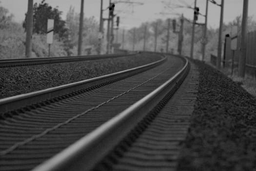 1/4000 sec. f2.8 ISO400 @ 150mm the noise I added,should look old