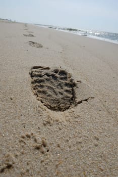 Footprint on the beach.
