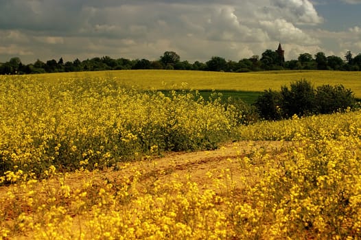 The road to the castle