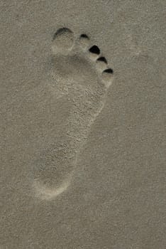 Footprint in the sand