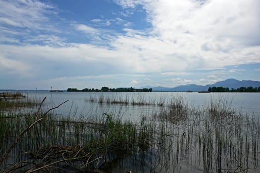 Women's Island