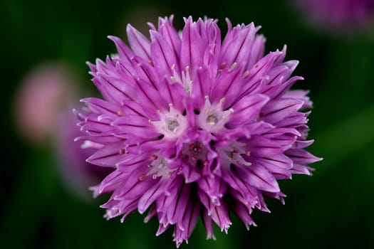 1/800 sec. f5.6 ISO400 @ 150mm