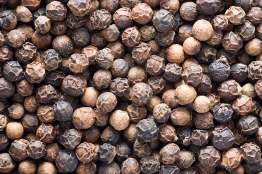 Black pepper