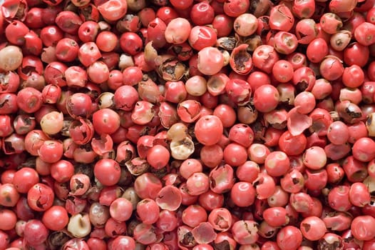 Red pepper