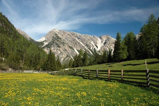 Peace of South Tyrol