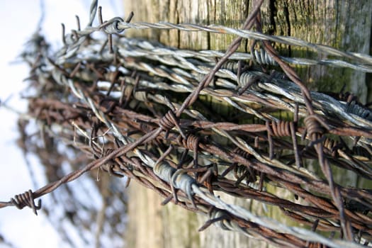 Barbed wire roll on a fence post
