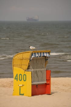 In May 2006 almost the only beach visitor: a seagull!