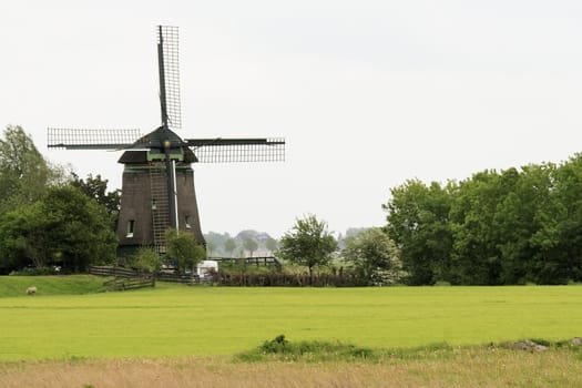 Holland