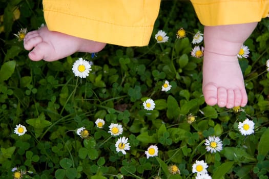 Baby feet