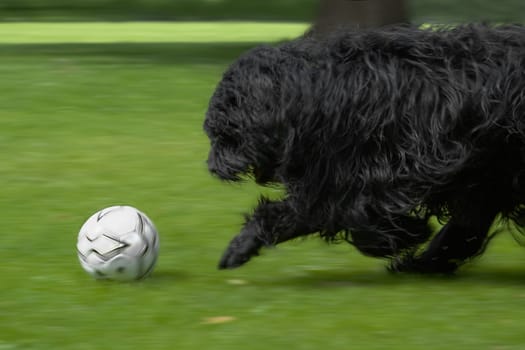 always stay on the ball