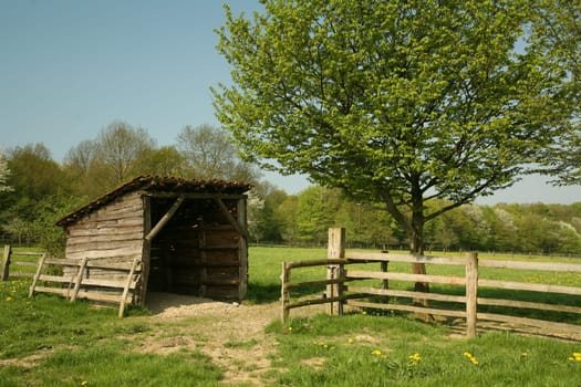 Cow pasture with cattle shelter