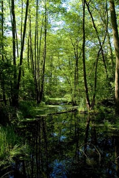 Water channel