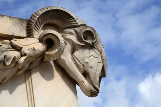 Ram's head