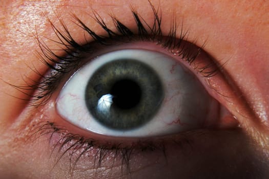 The fascination of the eye