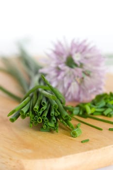 Chives 4