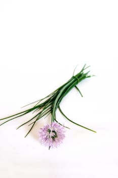 Chives 2