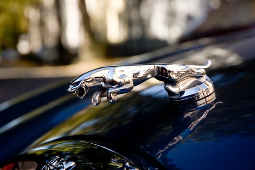 Hood ornament