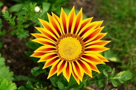 Finally summer signs
