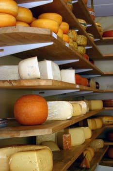 Cheese factory in Holland.