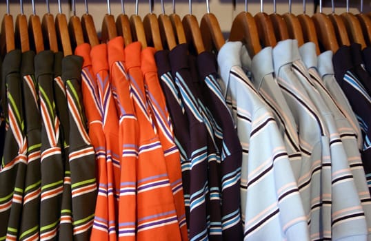 Shirts