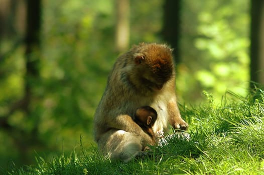 Mom tells stories