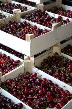 Cherries 2