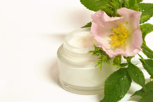 Skin cream