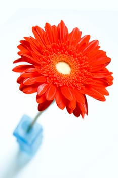 Flower vase