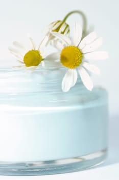 Chamomile cream