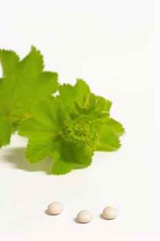 Lady's mantle pills