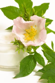 Skin Cream 2