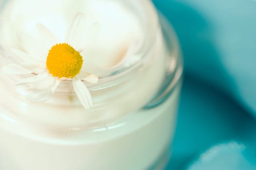 Chamomile cream 4