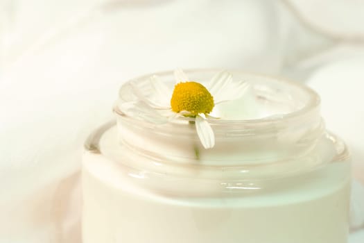 Chamomile cream 3