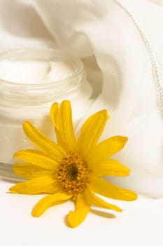 Arnica ointment 2