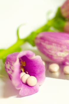 Foxglove 2