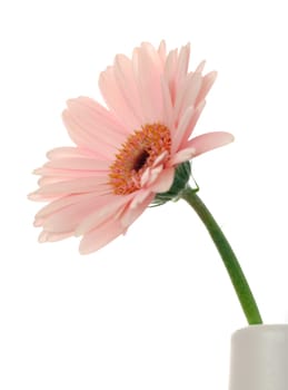 Decoration