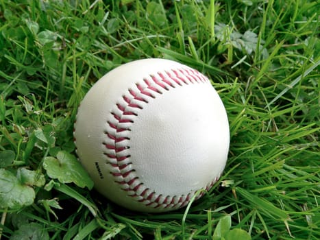 Baseball