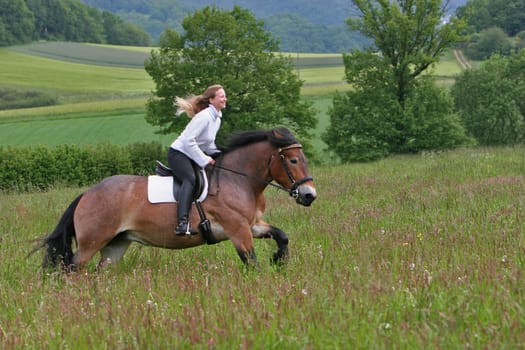 Saturday's shooting Christina and the 4-year-old cold-blooded mare Halla,the earth shook