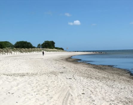 Beach life
