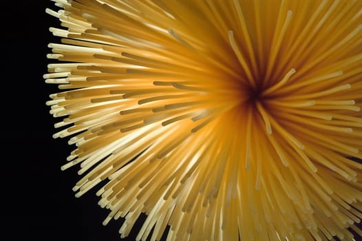 Spaghetti 02
