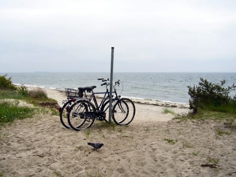 to the beach
