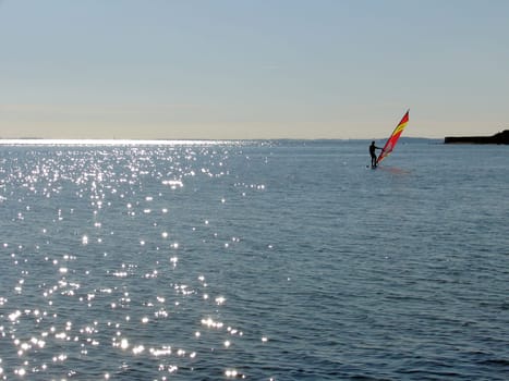 Surfer