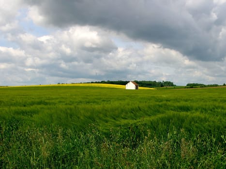 House in countryside