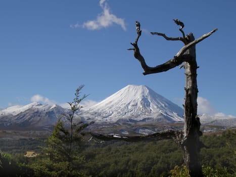 Tongariro National Park
