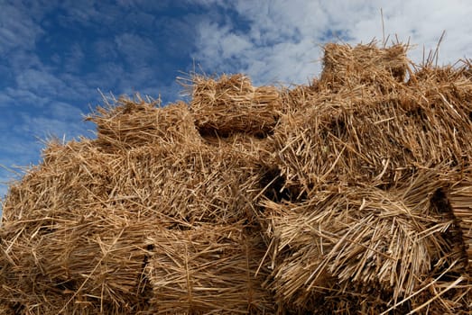 Stacked straw bales